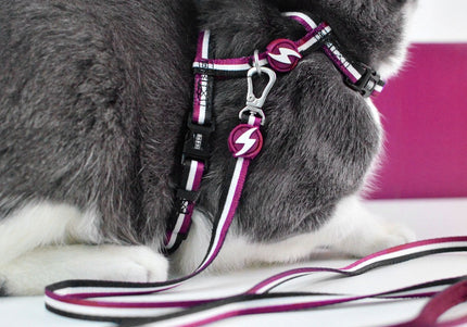 Dashi Stripes Purple & Black Cat Harness and Leash Set – Adjustable, Stylish Striped Design