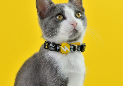 Dashi La Casa De Papel Golden Cat Collar – Black Adjustable Collar with Money Heist Theme