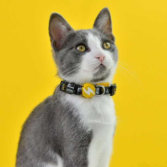 Dashi La Casa De Papel Golden Cat Collar – Black Adjustable Collar with Money Heist Theme
