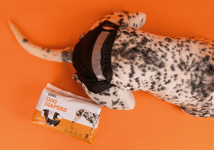 Dashi Dog Diapers Black Large – Comfortable Leak-Proof Disposable Pampers, 12 Pack