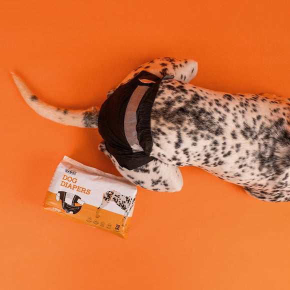 Dashi Dog Diapers Black Large – Comfortable Leak-Proof Disposable Pampers, 12 Pack