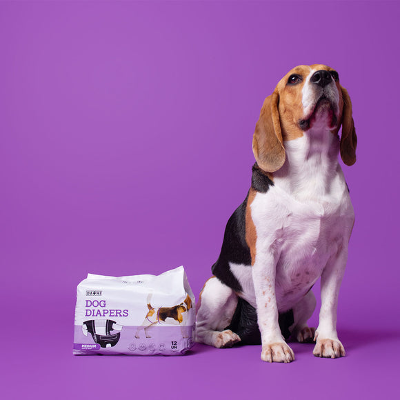 Dashi Dog Diapers Black Large – Comfortable Leak-Proof Disposable Pampers, 12 Pack