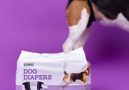 Dashi Dog Diapers Black Large – Comfortable Leak-Proof Disposable Pampers, 12 Pack