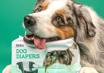 Dashi Dog Diapers Black Large – Comfortable Leak-Proof Disposable Pampers, 12 Pack
