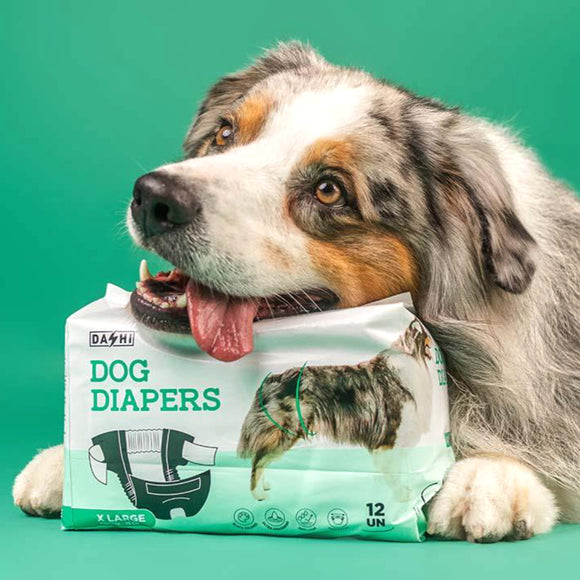 Dashi Dog Diapers Black Large – Comfortable Leak-Proof Disposable Pampers, 12 Pack