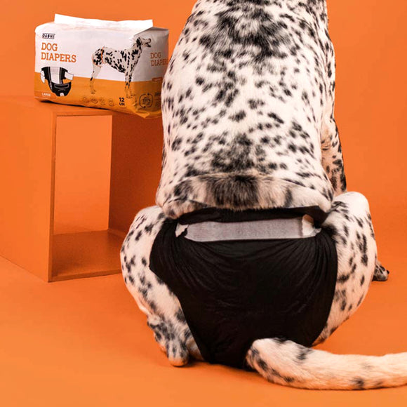Dashi Dog Diapers Black Large – Comfortable Leak-Proof Disposable Pampers, 12 Pack