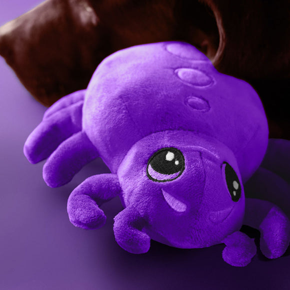 Dashi Halloween Spider Plush Toy – Fuzzy Soft Dog Toy with Festive Design