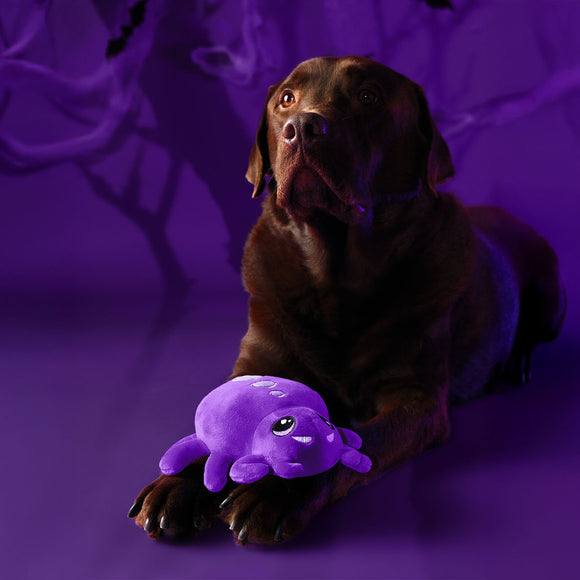 Dashi Halloween Spider Plush Toy – Fuzzy Soft Dog Toy with Festive Design