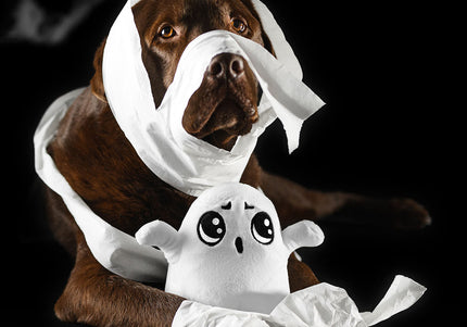 Dashi Halloween Plush Toy Boo – Soft Ghost Dog Stuffed Animal, Festive Collectible