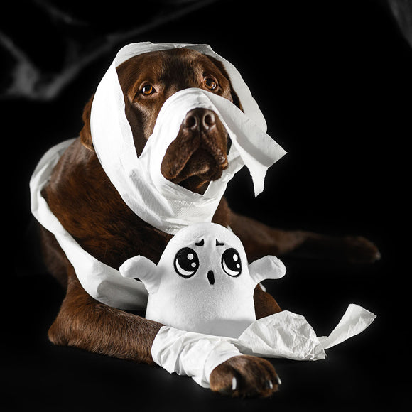 Dashi Halloween Plush Toy Boo – Soft Ghost Dog Stuffed Animal, Festive Collectible