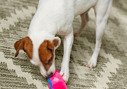 Outward Hound Durablez Pig Squeaky Toy – 16cm Unfilled Pink Plush, Durable Playtime