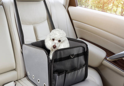 Record Seggiolino Dog Car Seat – Secure Elevated Travel Booster with Washable Cover