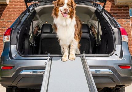 PetSafe Happy Ride Telescoping Dog Ramp – Adjustable Lightweight Design, Durable Non-Slip Surface