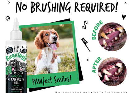 Bugalugs Dental Care Clean Teeth Gel 200ml – Mint Gel Formula, No-Brush Fresh Breath Solution