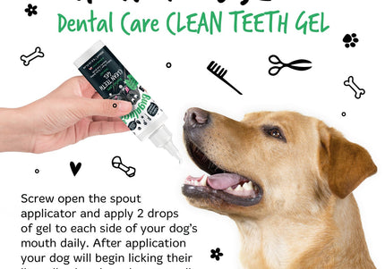 Bugalugs Dental Care Clean Teeth Gel 200ml – Mint Gel Formula, No-Brush Fresh Breath Solution