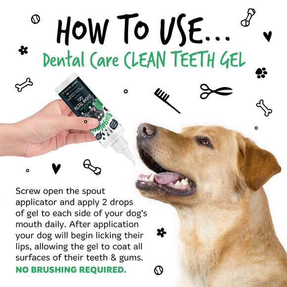 Bugalugs Dental Care Clean Teeth Gel 200ml – Mint Gel Formula, No-Brush Fresh Breath Solution