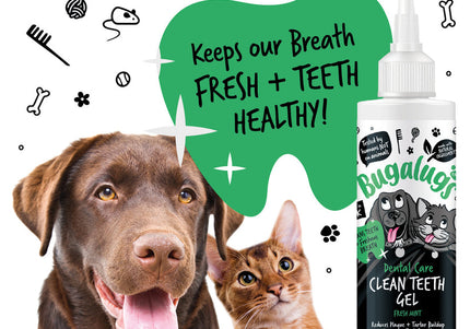Bugalugs Dental Care Clean Teeth Gel 200ml – Mint Gel Formula, No-Brush Fresh Breath Solution