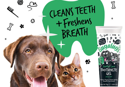 Bugalugs Dental Care Toothpaste Gel 75g – Mint Gel Formula, Fresh Breath and Oral Hygiene