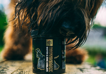 Pokusa DiamondCoat Biotin Max 350g – Advanced Skin and Coat Supplement, Nutrient-Rich Formula