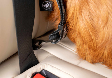 Kurgo Direct to Latch Swivel Tether – ISOFIX Dog Car Seat Belt with Secure Locking Clip