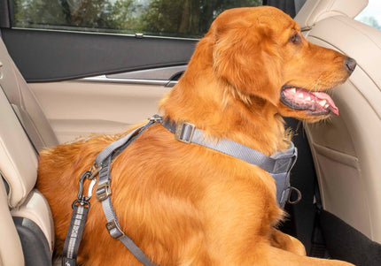 Kurgo Direct to Latch Swivel Tether – ISOFIX Dog Car Seat Belt with Secure Locking Clip