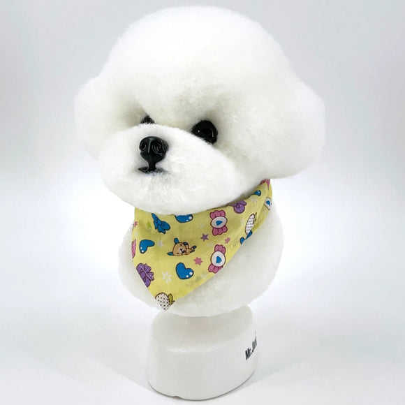 Mr. Jiang Bichon Head Hair – Soft Replacement Fiber for Grooming Practice Head
