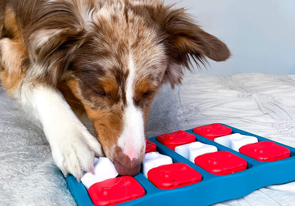 Nina Ottosson Dog Brick Puzzle Game – Interactive Level 2 Treat Dispenser, Durable Design