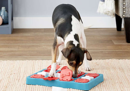 Nina Ottosson Dog Brick Puzzle Game – Interactive Level 2 Treat Dispenser, Durable Design