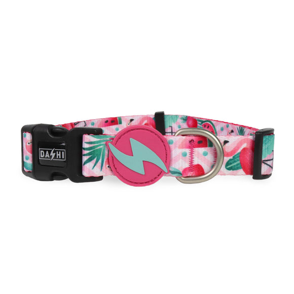 Dashi Flamingo Collar – Colorful Medium Dog Collar with Vibrant Flamingo Pattern