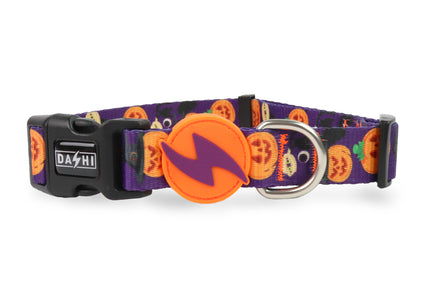Dashi Pumpkin Collar – Halloween-Themed Adjustable XS Collar with Festive Pumpkin Design