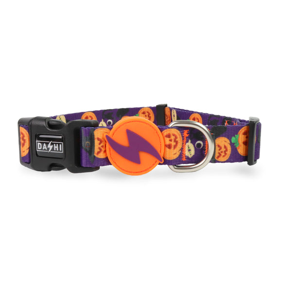 Dashi Pumpkin Collar – Halloween-Themed Adjustable XS Collar with Festive Pumpkin Design