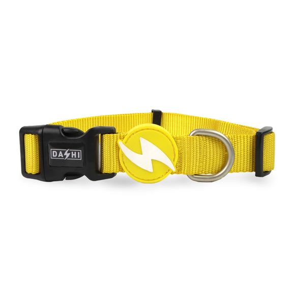 Dashi Solid Collar Yellow – Nylon Adjustable Dog Collar, Small Size, Durable Design