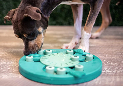 Nina Ottosson Dog Worker Level 3 Puzzle – Interactive Educational Game, Advanced Challenge