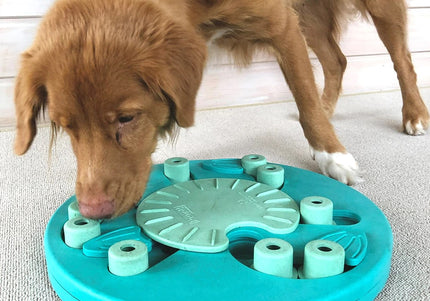 Nina Ottosson Dog Worker Level 3 Puzzle – Interactive Educational Game, Advanced Challenge