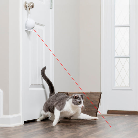 PetSafe Dancing Dot Laser Cat Toy – Interactive Automatic Laser with Adjustable Timer