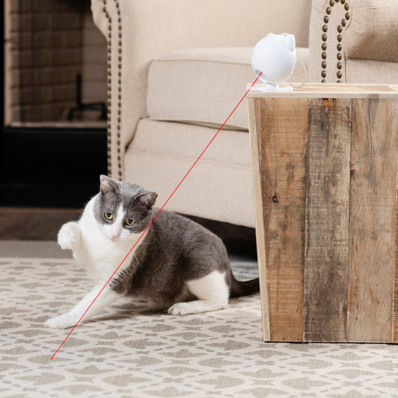 PetSafe Dancing Dot Laser Cat Toy – Interactive Automatic Laser with Adjustable Timer