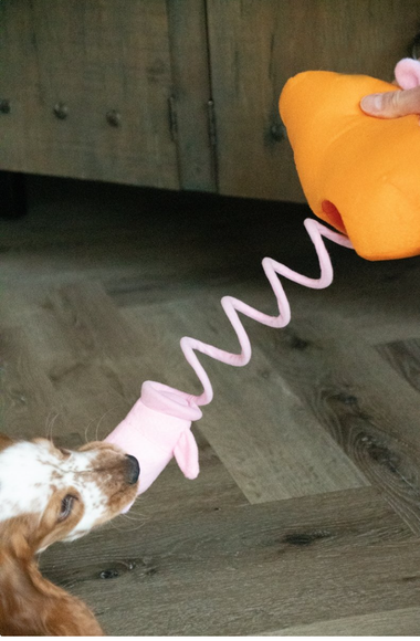 Holland Double Wooble Bubble Buddies – Squeaky Dog Toy with Spring, Fish Aquarium Design