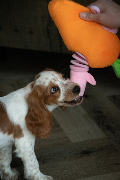 Holland Double Wooble Bubble Buddies – Squeaky Dog Toy with Spring, Fish Aquarium Design