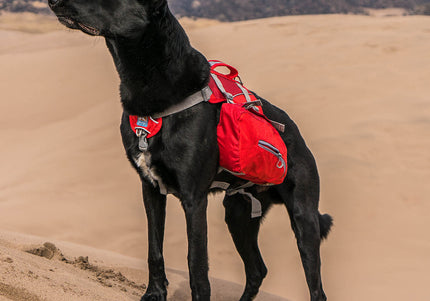 Kurgo Baxter Backpack 3.75L Red – Adjustable Saddlebags, Lightweight Design for Outdoor Adventures