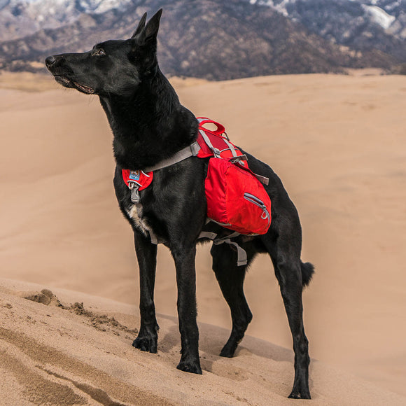 Kurgo Baxter Backpack 3.75L Red – Adjustable Saddlebags, Lightweight Design for Outdoor Adventures