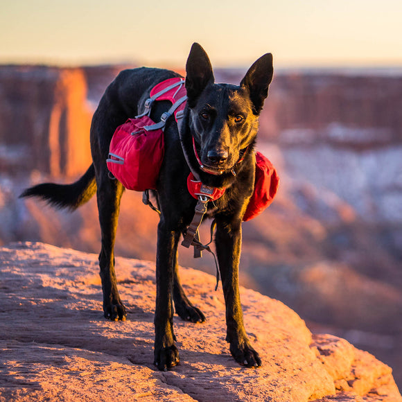 Kurgo Big Baxter Backpack 7.5L Red – Adjustable Saddlebags, Durable Design for Large Breeds