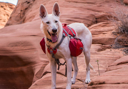 Kurgo Big Baxter Backpack 7.5L Red – Adjustable Saddlebags, Durable Design for Large Breeds