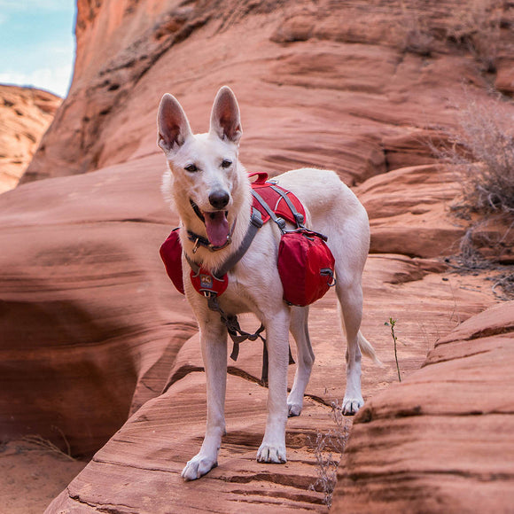Kurgo Big Baxter Backpack 7.5L Red – Adjustable Saddlebags, Durable Design for Large Breeds