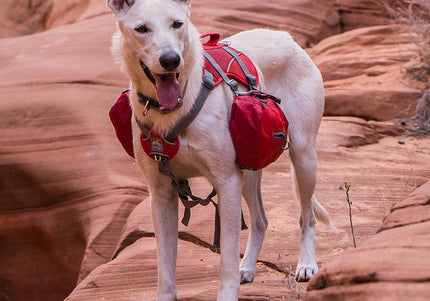 Kurgo Baxter Backpack 3.75L Red – Adjustable Saddlebags, Lightweight Design for Outdoor Adventures