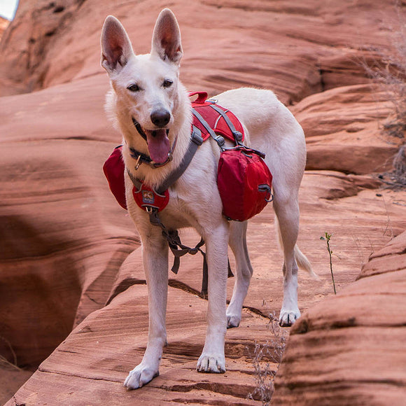 Kurgo Baxter Backpack 3.75L Red – Adjustable Saddlebags, Lightweight Design for Outdoor Adventures