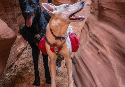 Kurgo Big Baxter Backpack 7.5L Red – Adjustable Saddlebags, Durable Design for Large Breeds