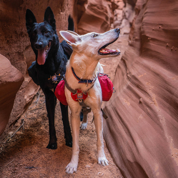 Kurgo Big Baxter Backpack 7.5L Red – Adjustable Saddlebags, Durable Design for Large Breeds