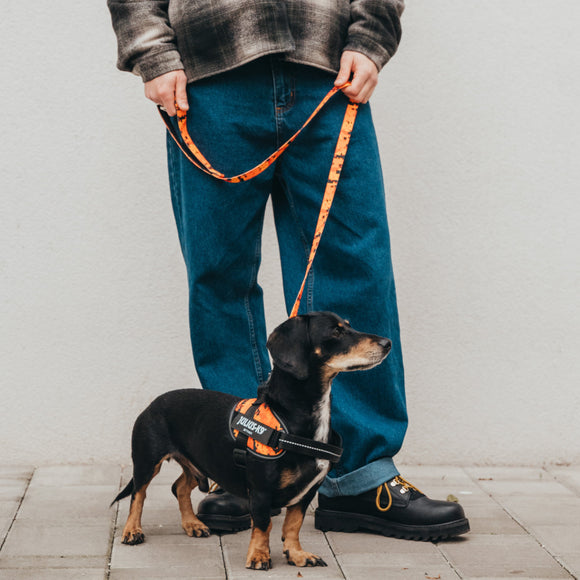 Julius-K9 MoreColor Pixeljuice Leash 120cm – Neoprene Handle, Orange Pixel Tape, Durable Design