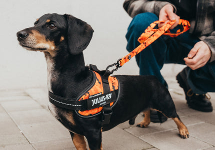 Julius-K9 MoreColor Pixeljuice Leash 120cm – Neoprene Handle, Orange Pixel Tape, Durable Design
