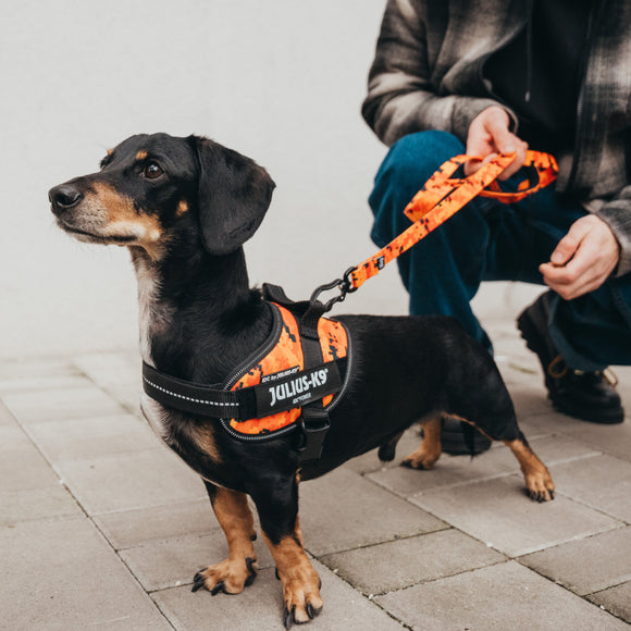 Julius-K9 MoreColor Pixeljuice Leash 120cm – Neoprene Handle, Orange Pixel Tape, Durable Design